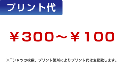 �v�����g��