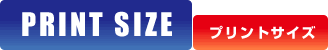 PRINT SIZE�@�v�����g�T�C�Y